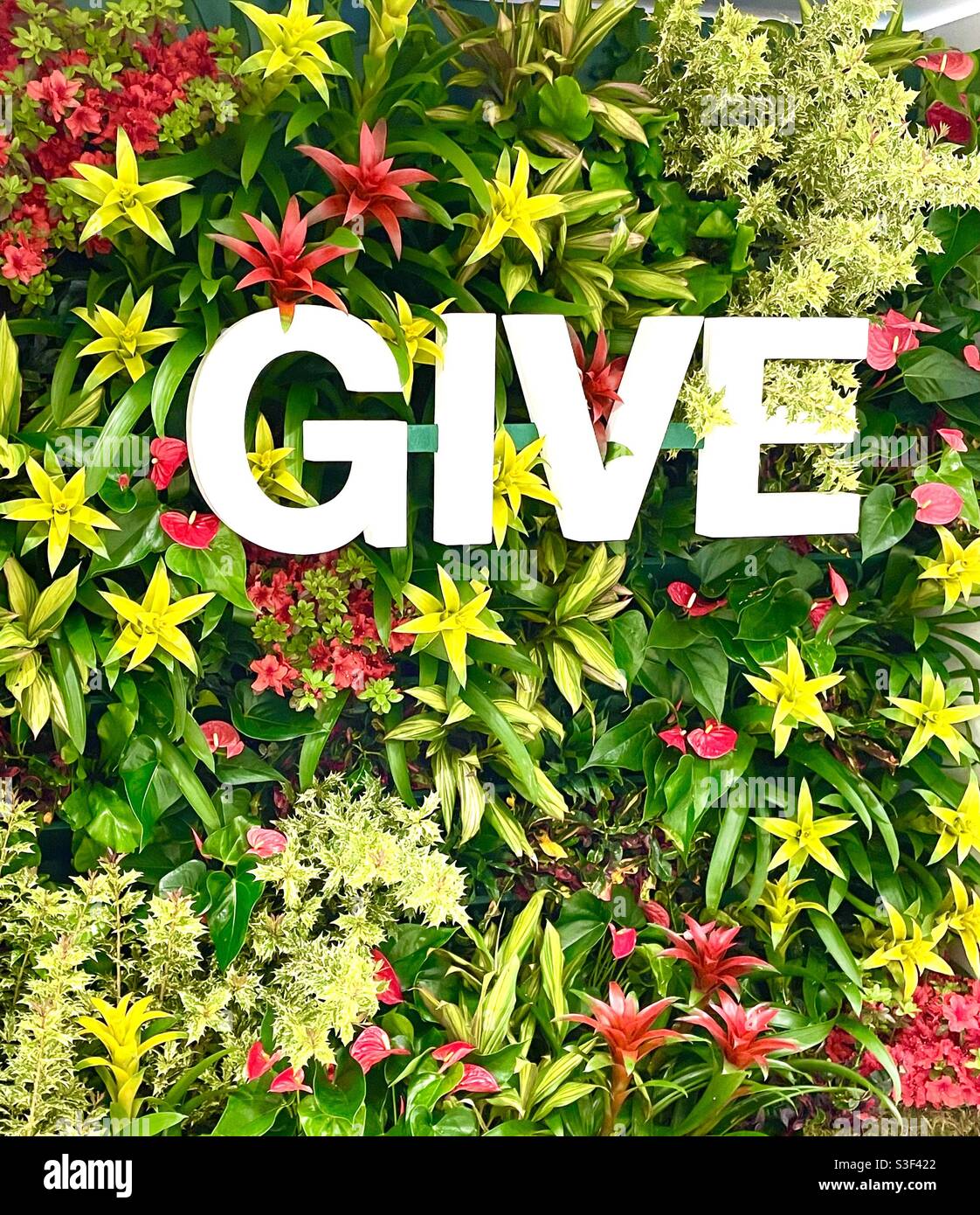 Message at Macy’s flower show - Smartphone Captured Stock Image
