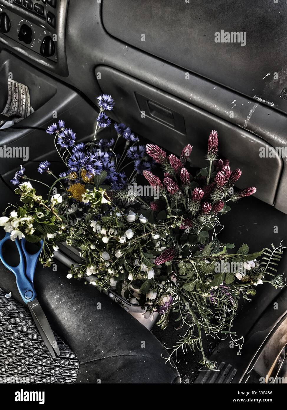 Stark photo of freshly cut flowers in a bucket - Smartphone Captured Stock Image