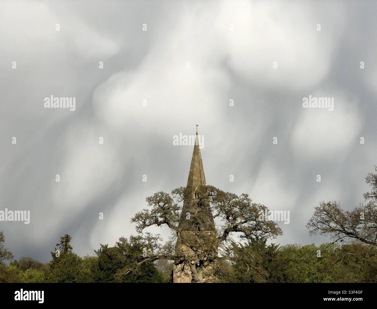 Dramatic early evening mammatus clouds under cumulonimbus clouds just after a hail storm with a church spire and oak trees in the foreground in the Oxfordshire countryside. - Smartphone Captured Stock Image
