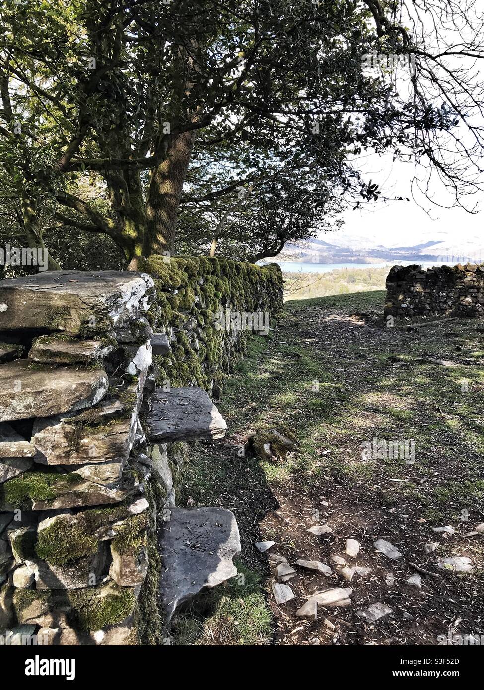 Slate wall in the Lake District - Smartphone Captured Stock Image