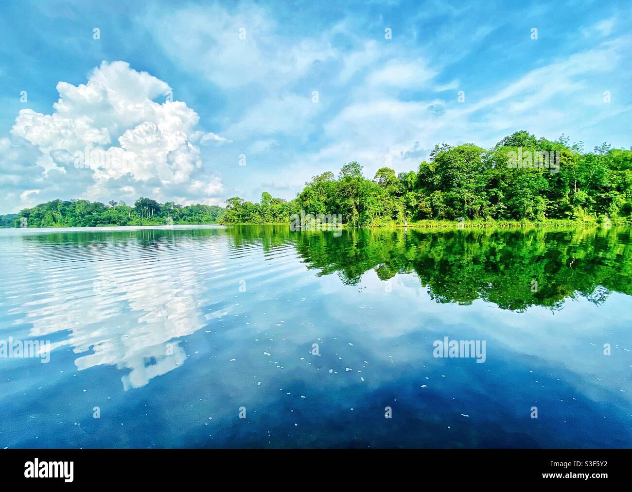 Nature reservoir park on a beautiful day Stock Photo