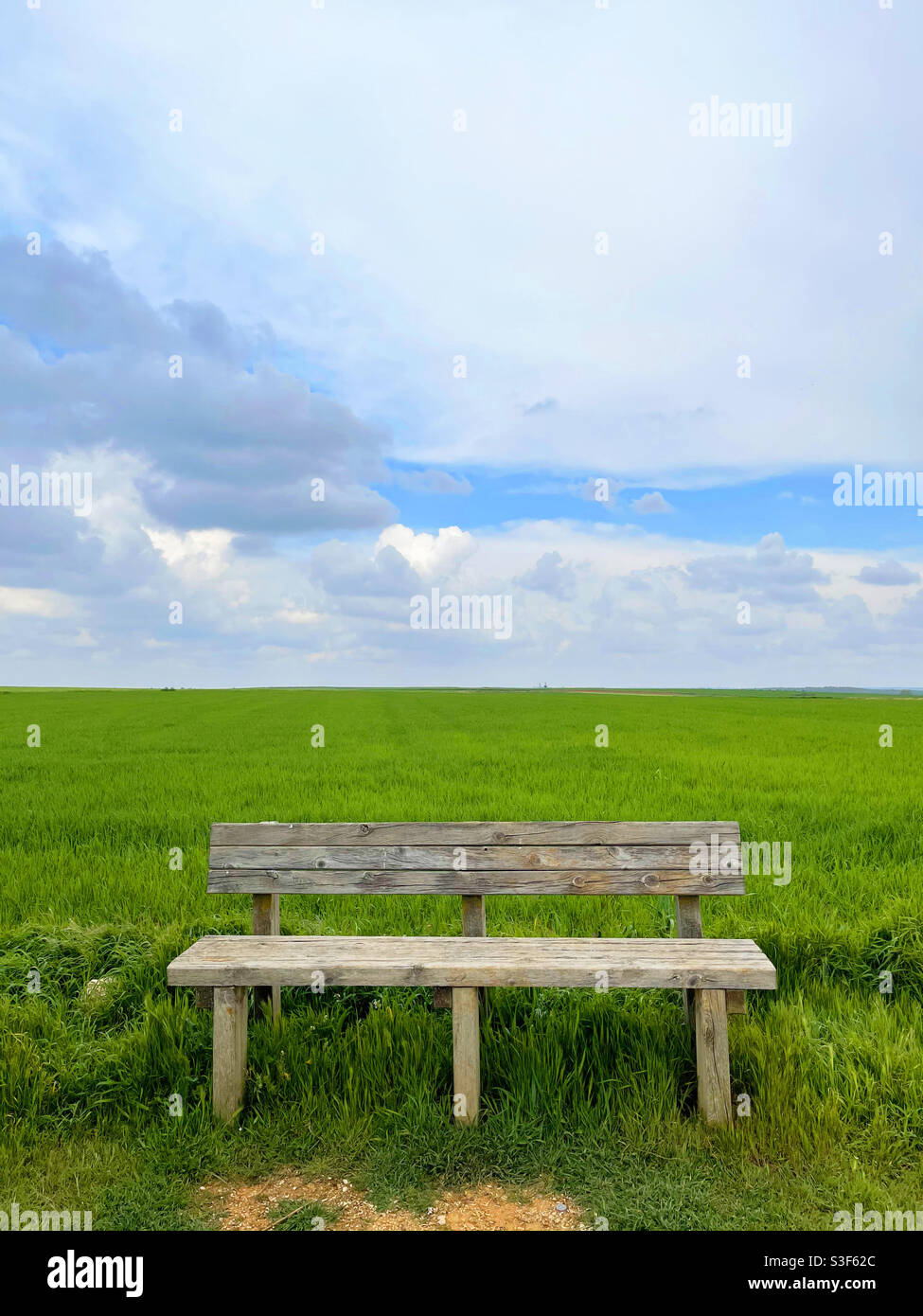 Wooden bench in a meadow. - Smartphone Captured Stock Image