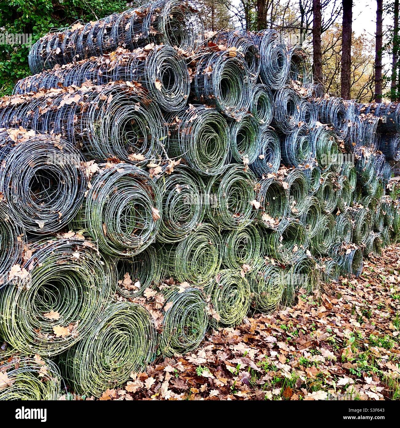 Large stack of rolls of wire netting. Stock Photo