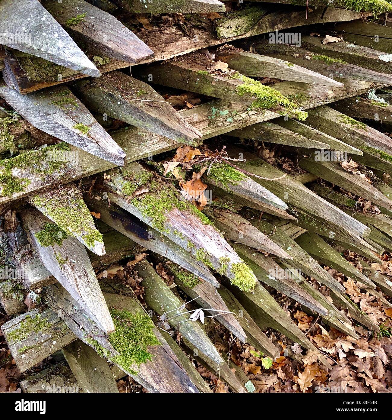 Stack of old pointed fence posts. Stock Photo