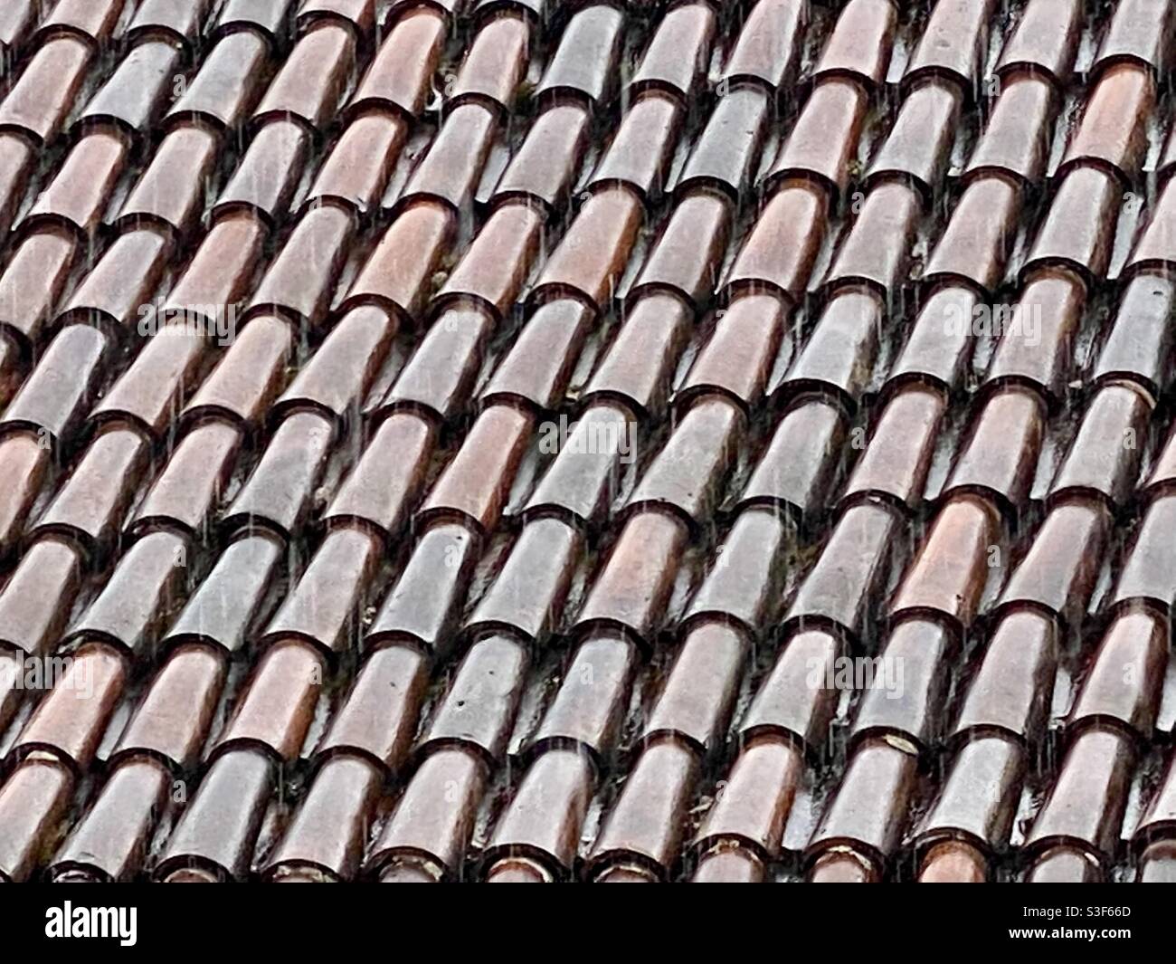 Wet shingles in the rain Stock Photo Alamy