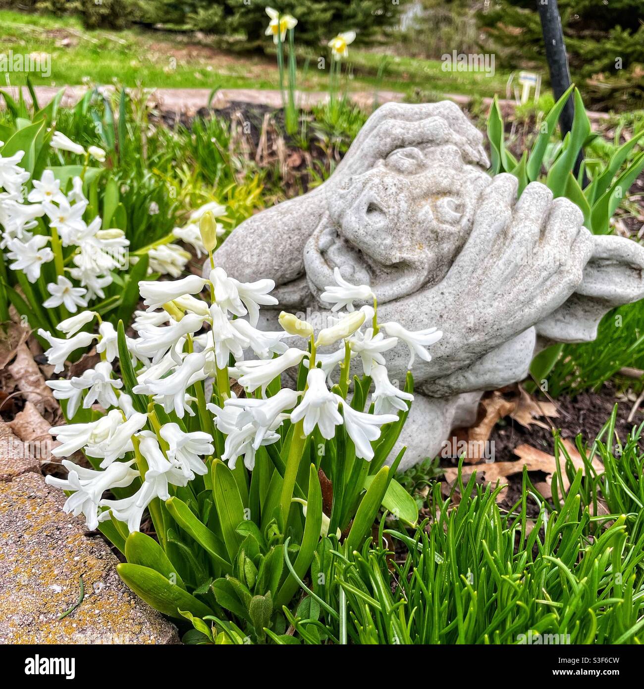 ‘Hear no evil’ garden statue in the spring garden. - Smartphone Captured Stock Image