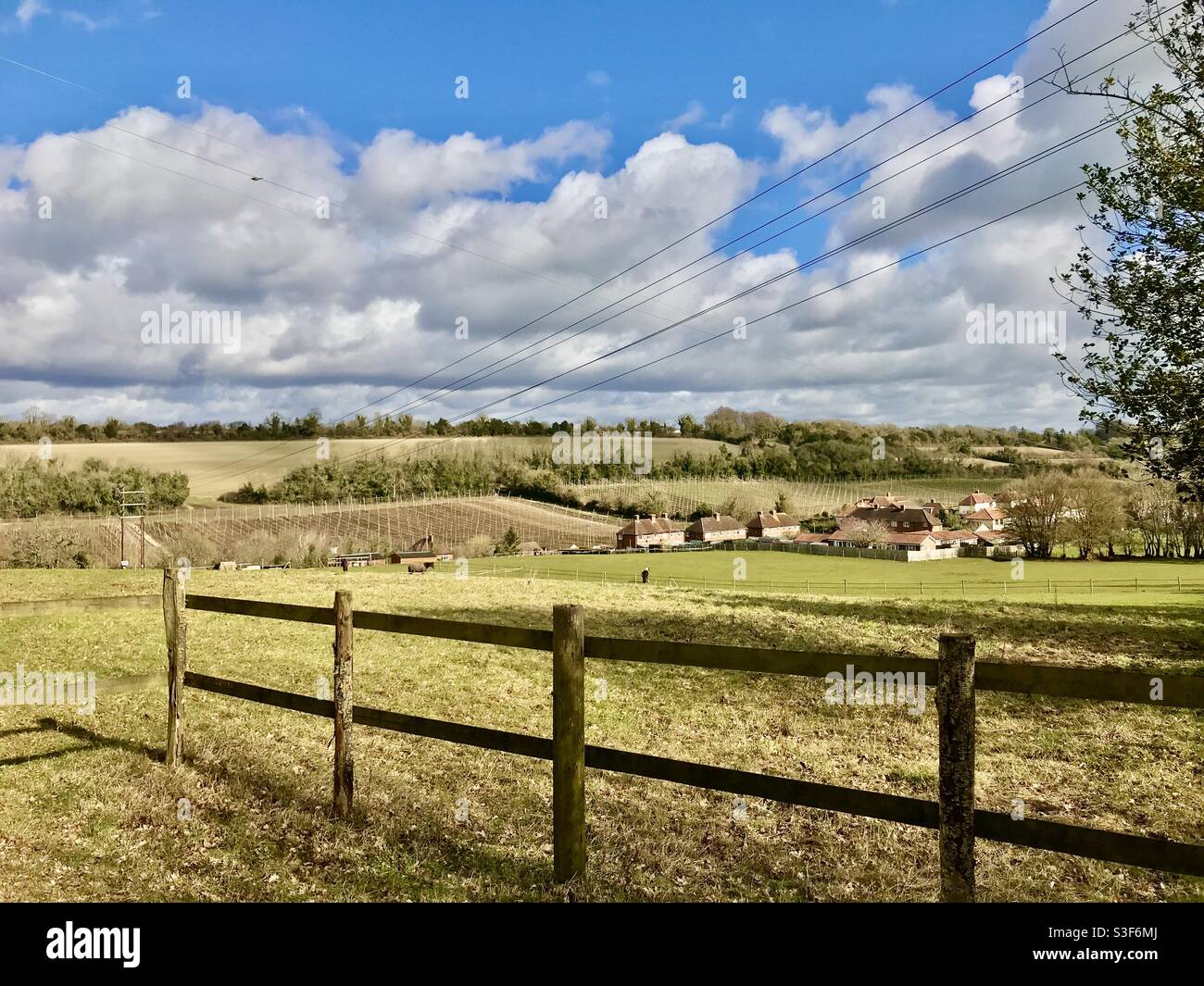 Greyfriars Vineyard from the North Downs Way near Puttenham in Surrey Stock Photo