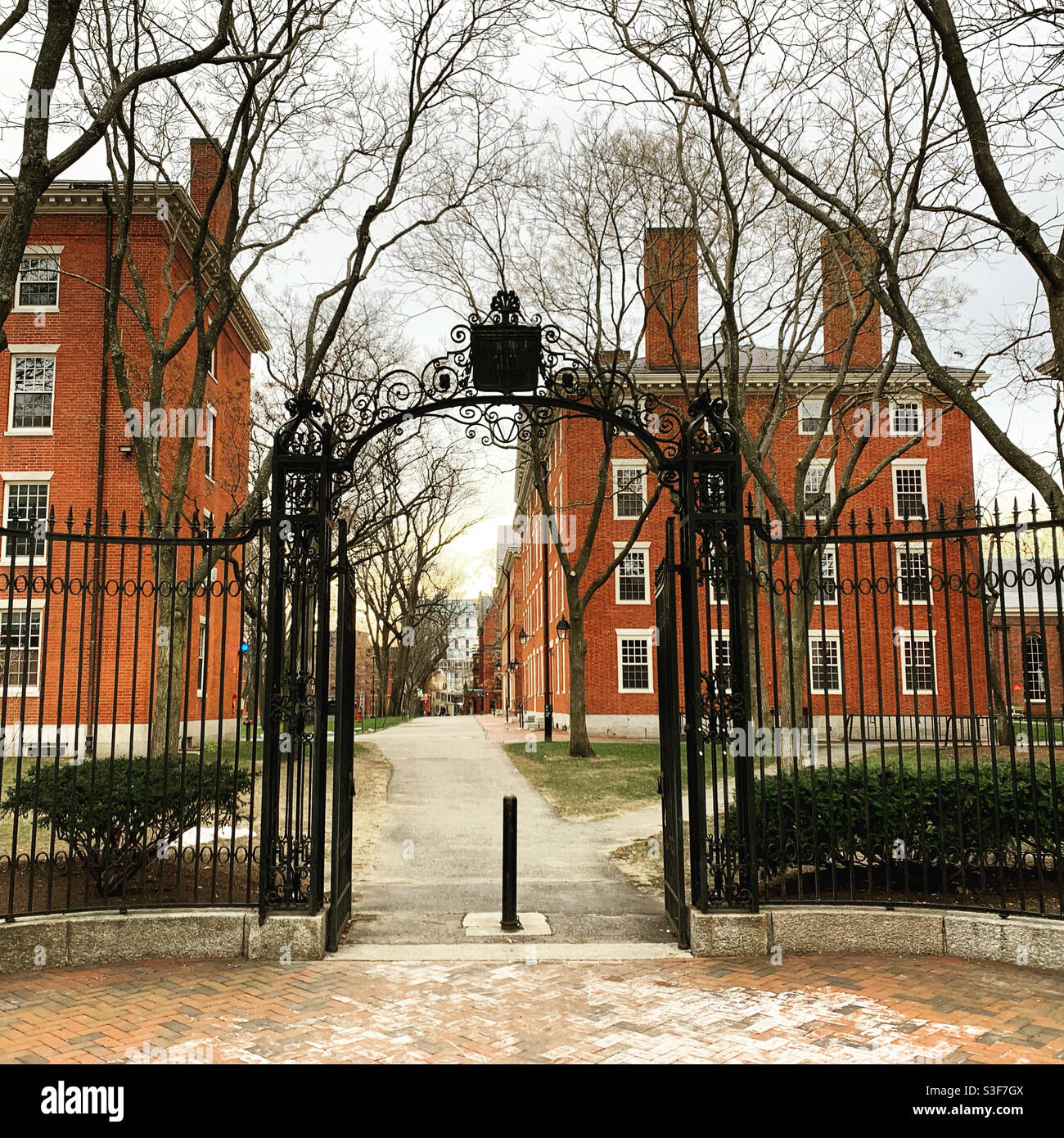Harvard Yard, Harvard University, Cambridge, Massachusetts, United States Stock Photo