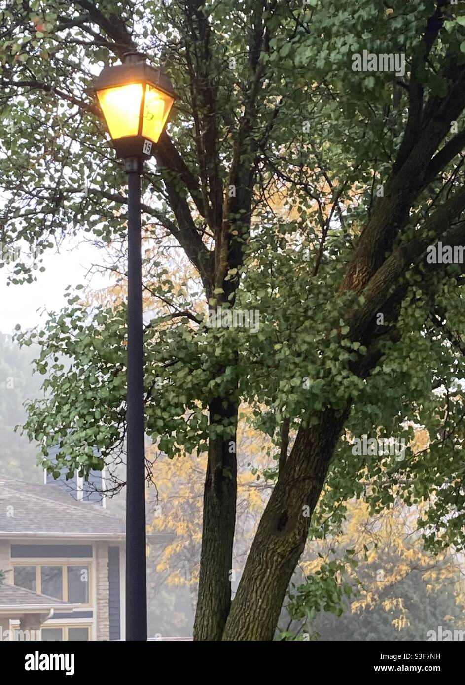 Lamp Post to Narnia Stock Photo Alamy