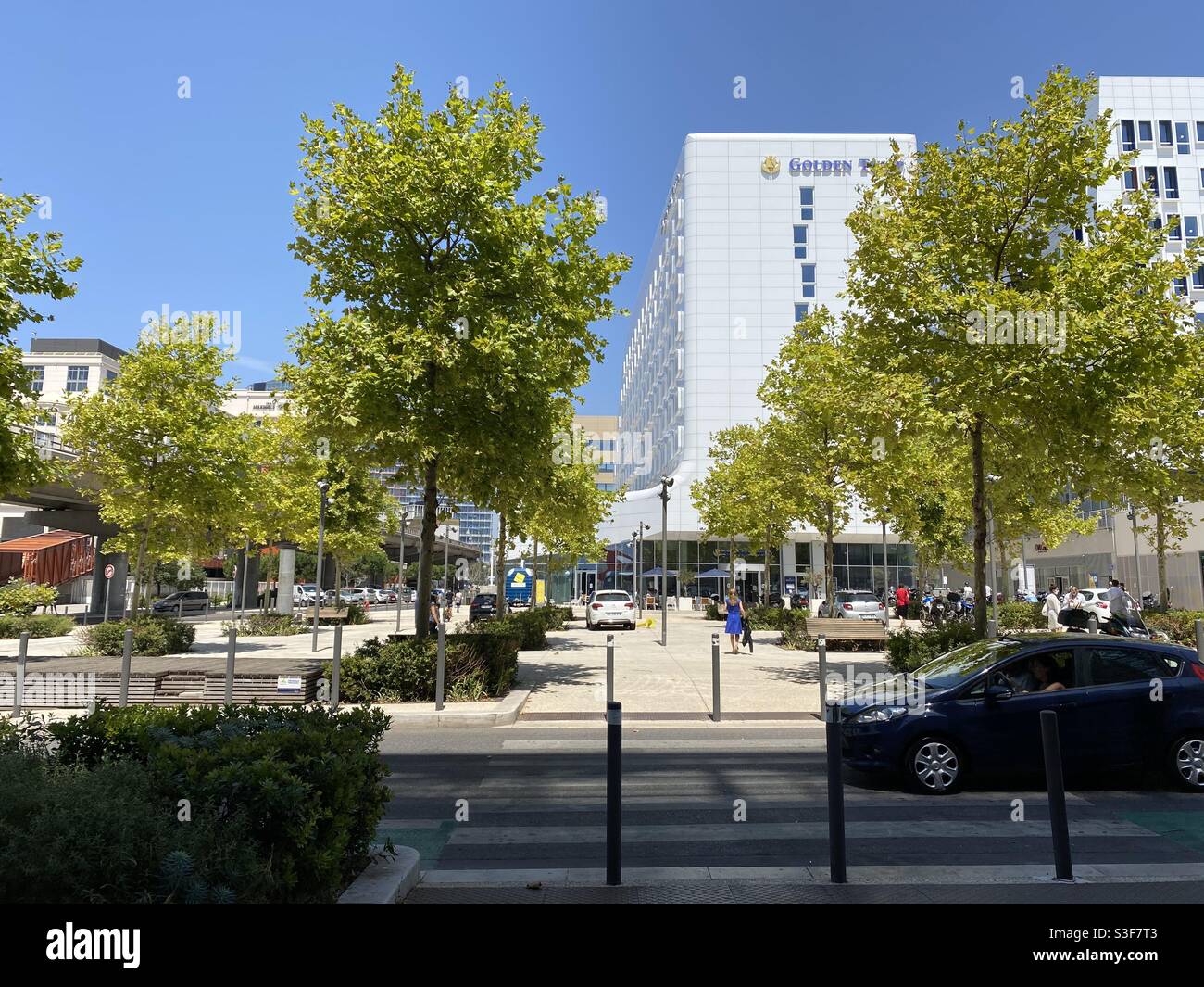 Golden Hotel on an avenue with trees in Marseille, Provence Côte d’Azur - Smartphone Captured Stock Image