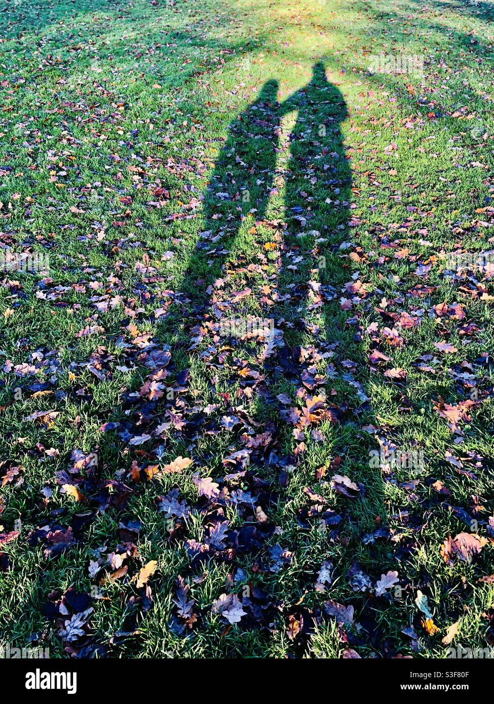 Long Shadow Child Child long grass hi-res stock photography and images - Alamy
