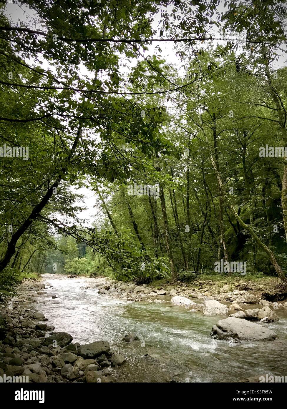 Refresh hi-res stock photography and images - Alamy