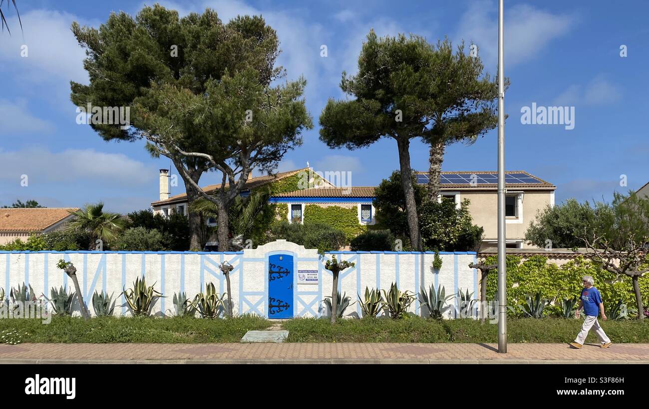 Beautiful house with blue and white wall and door with vines and pine trees in Palavas les Flots, near Carnon plage and Montpellier, Occitanie, south of France - Smartphone Captured Stock Image