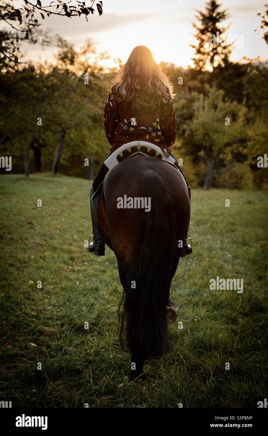 A woman riding a horse in a forest - Smartphone Captured Stock Image