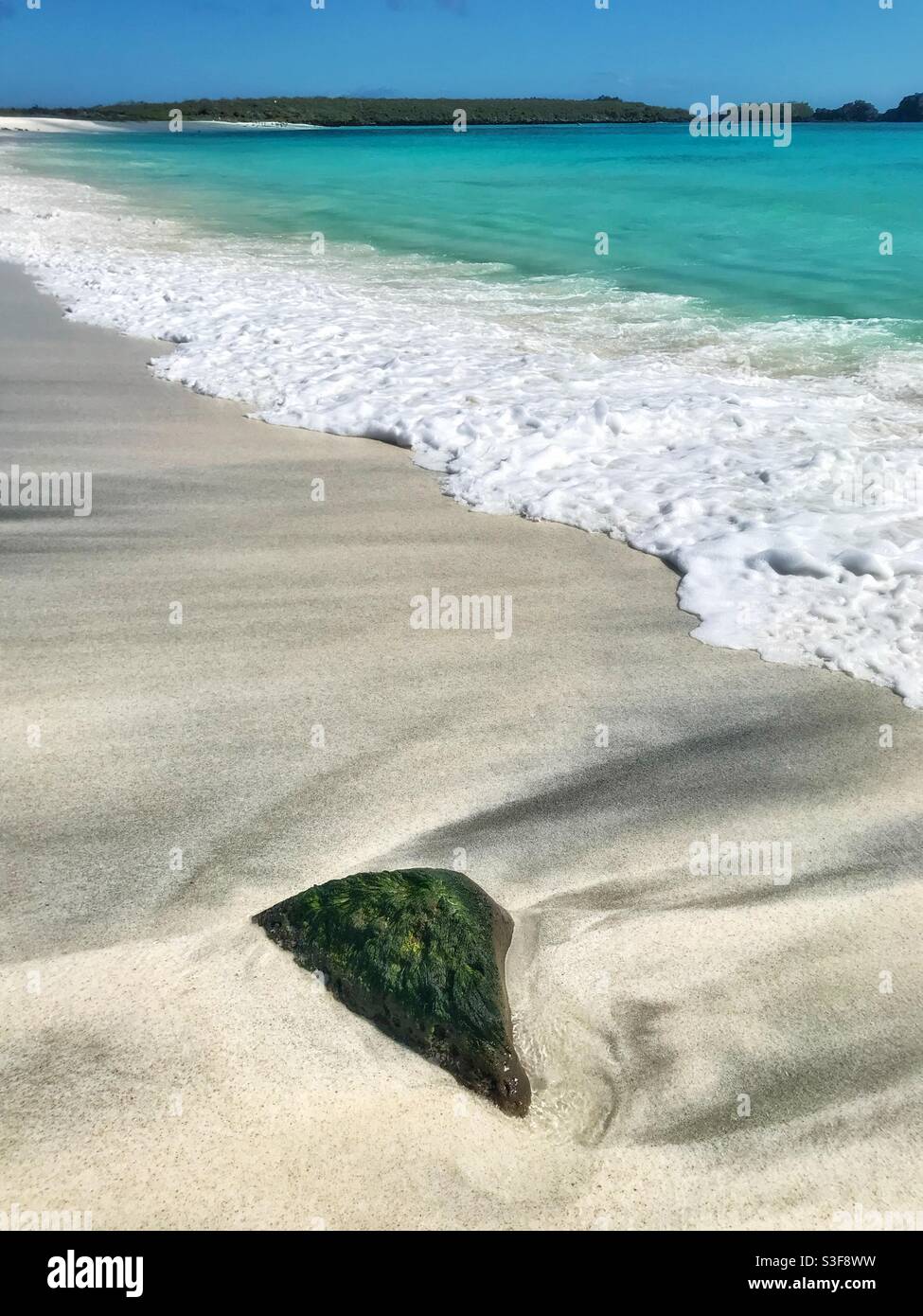 Beach on Espanola, Galápagos Islands - Smartphone Captured Stock Image