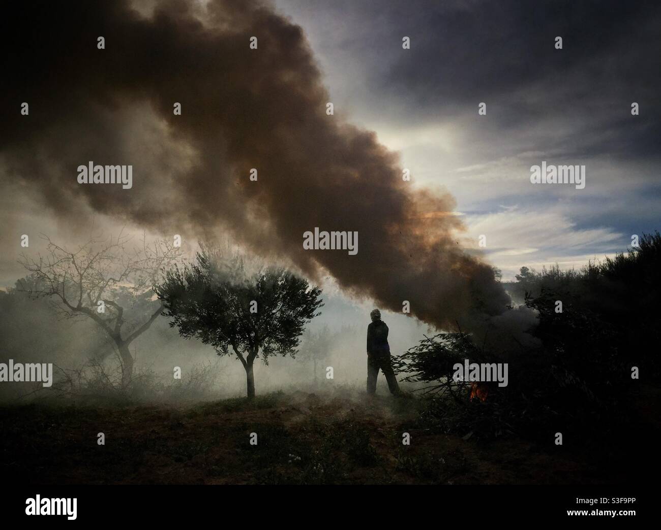 Olive pruning bonfire, Catalonia, Spain. - Smartphone Captured Stock Image