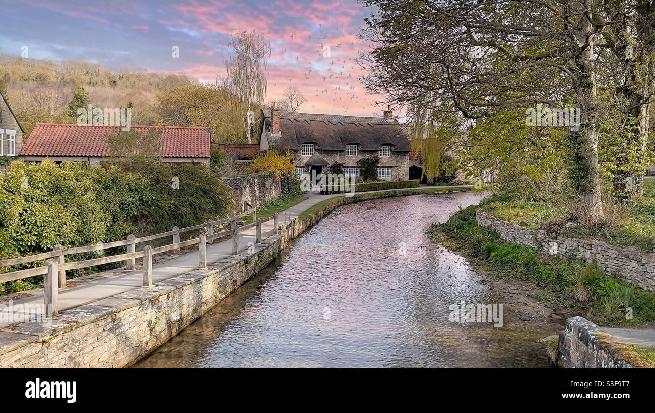 Cottage with thatched roof by river in Thornton le Dale, Pickering