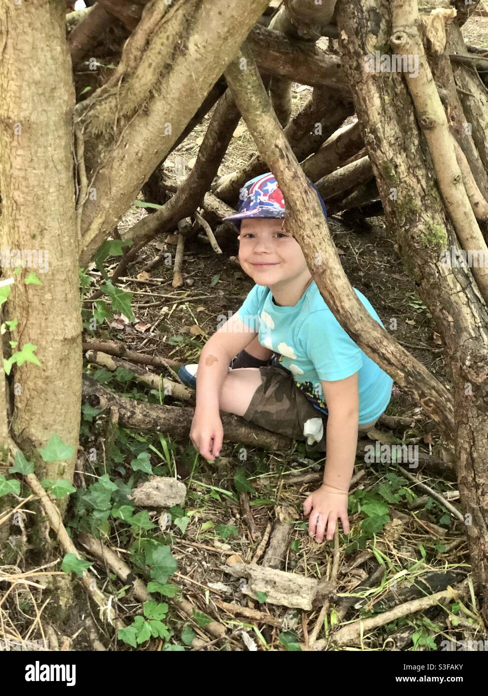 Den building forest hi-res stock photography and images - Alamy