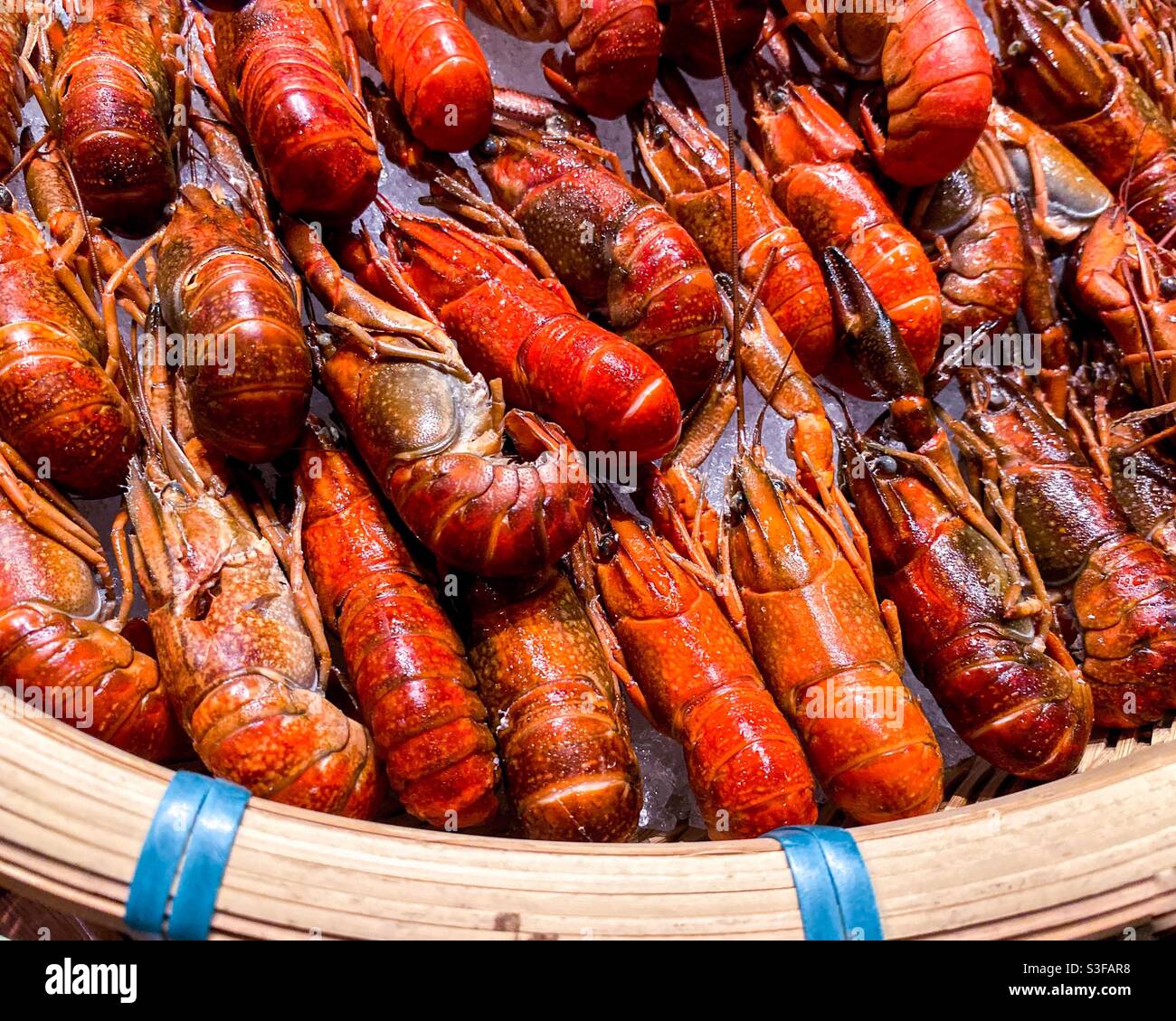 Scrumptious yabbies feast for all seafood lover Stock Photo