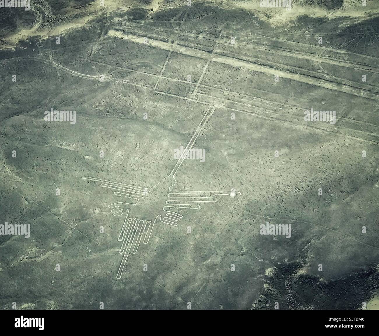 The Hummingbird or Hermit formation in the Nazca Lines, near Nazca, Peru, seen from a tourist flight in a small plane Stock Photo