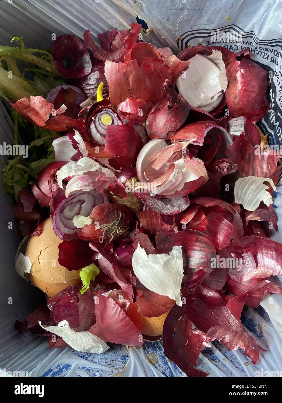 Food waste recycling bin with red onions Stock Photo Alamy