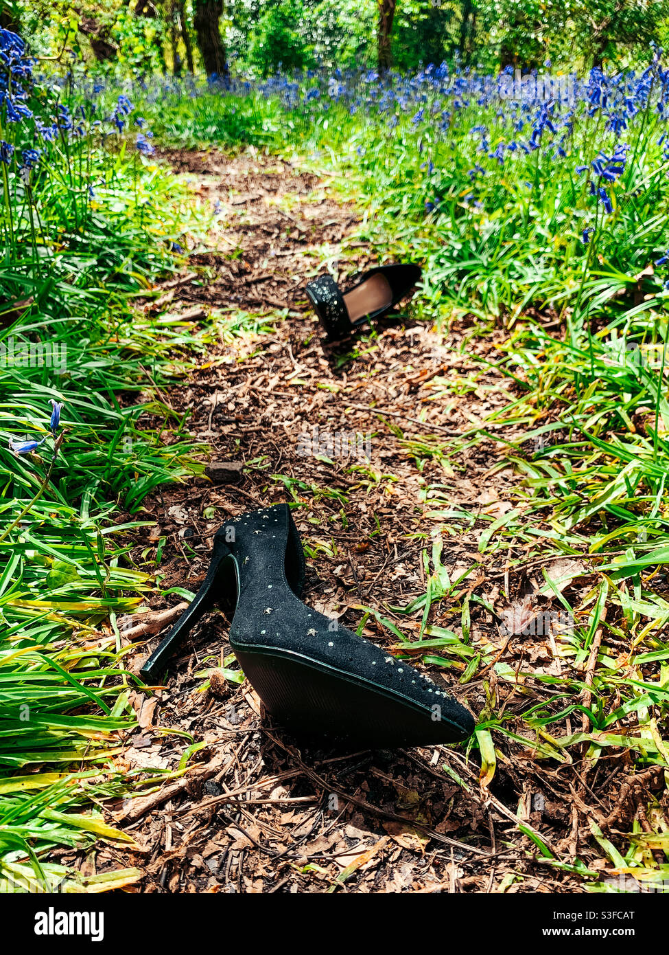 Lost high heels stilettos in a bluebell woods - Smartphone Captured Stock Image