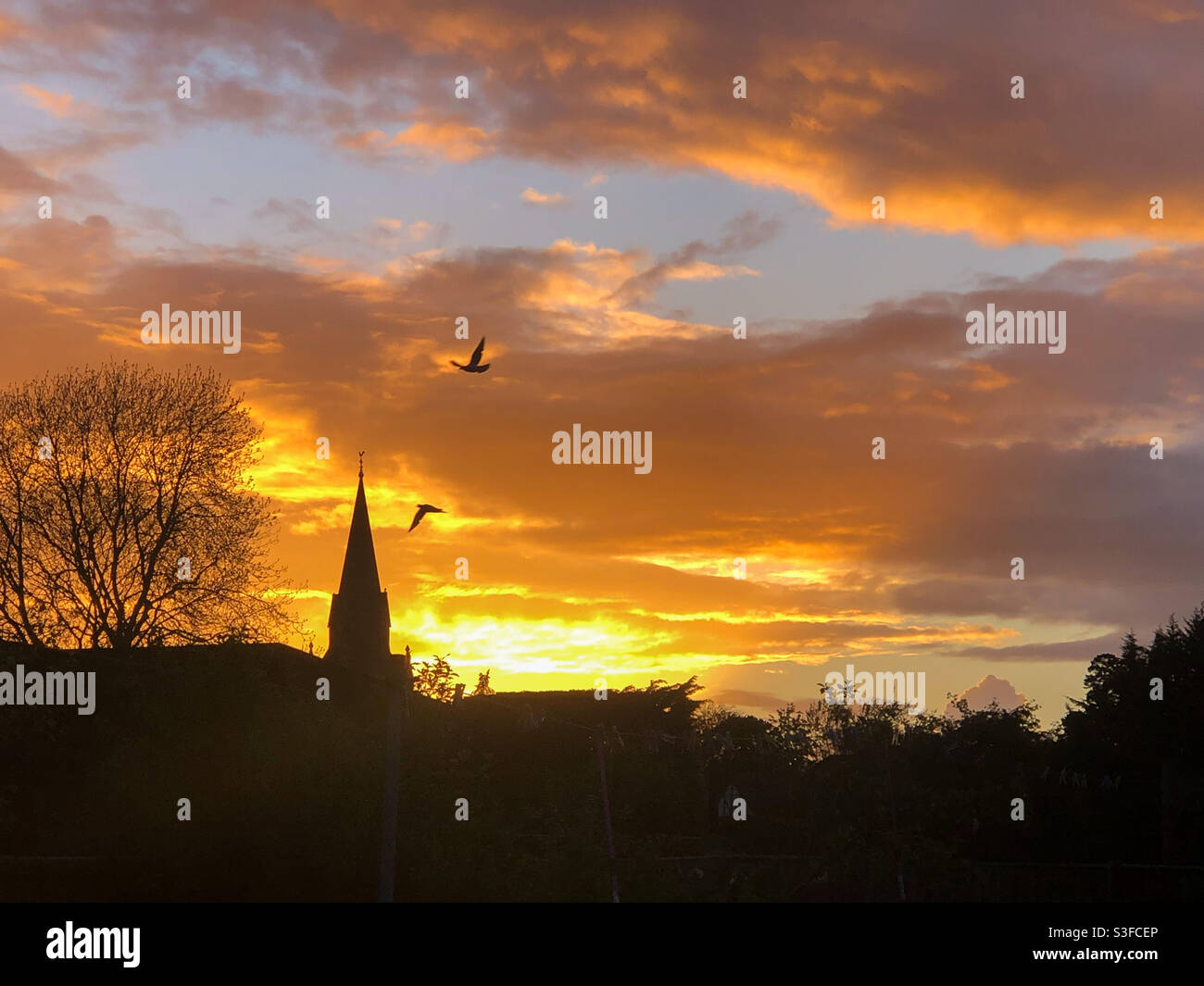 An orange and golden sunset with a church spire in silhouette. - Smartphone Captured Stock Image