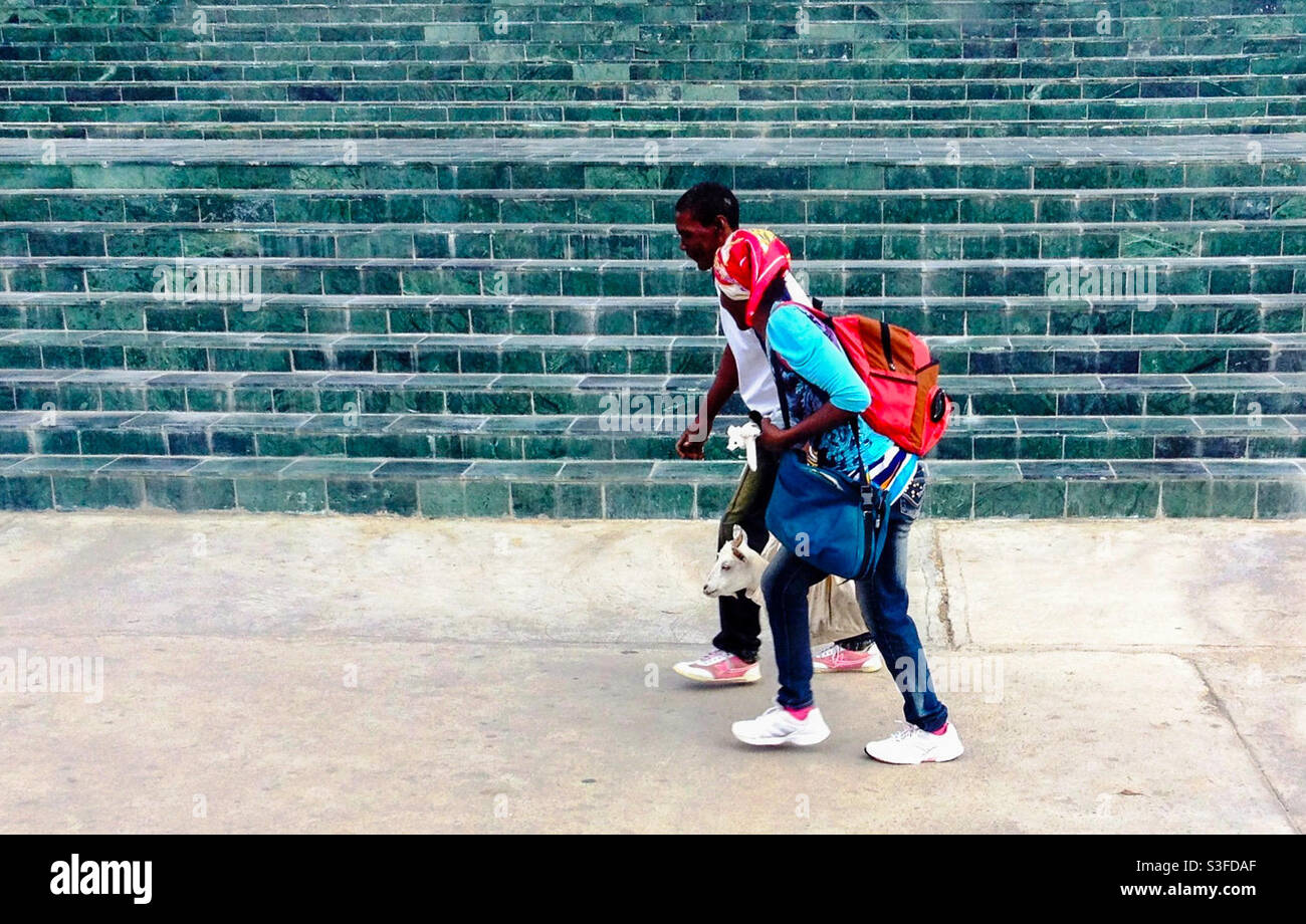 Local couple walking along street carrying a goat in Santiago de Cuba, Cuba - Smartphone Captured Stock Image