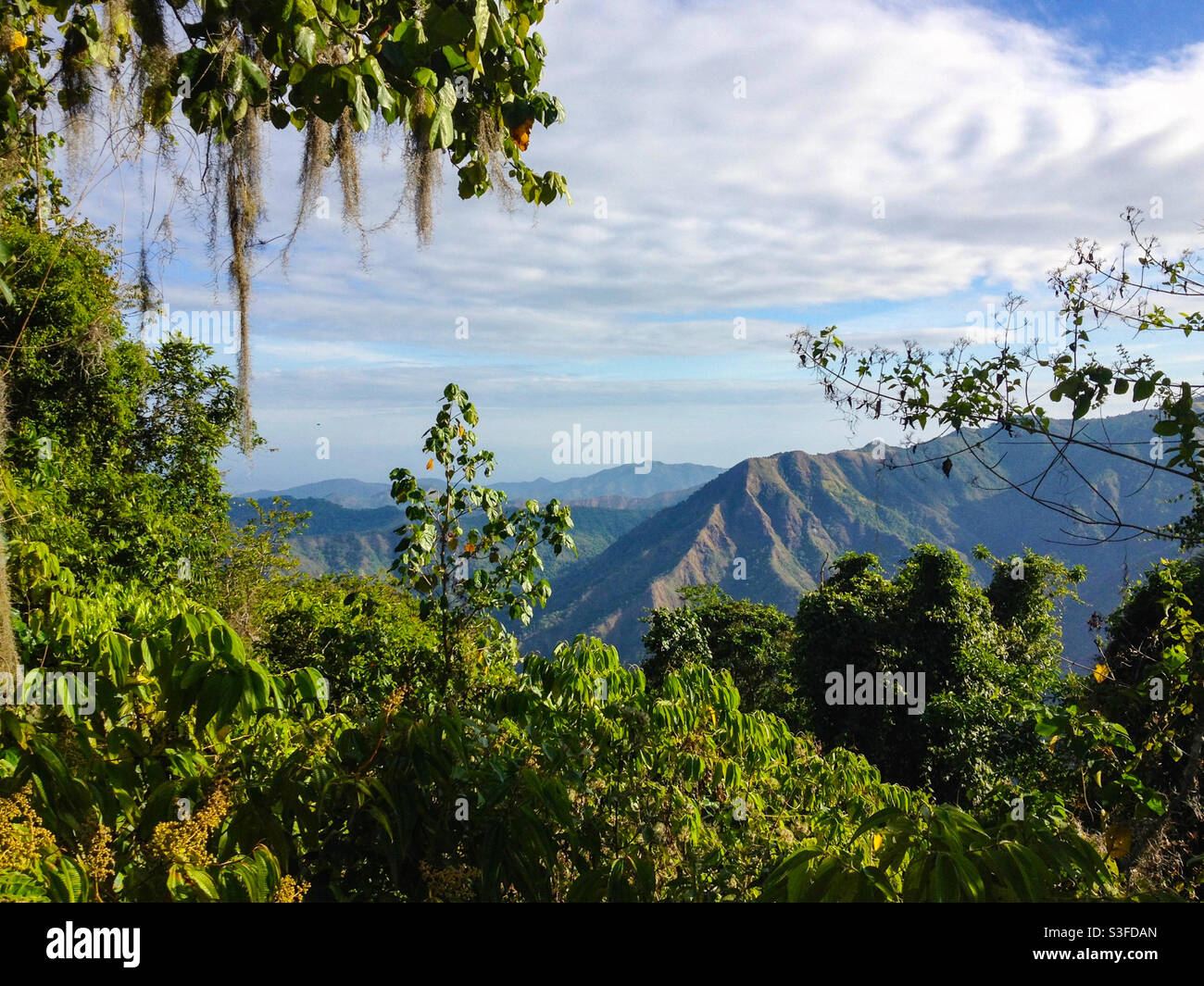 View over mountain ridge through jungle In Sierra Maestra mountain range, Cuba - Smartphone Captured Stock Image