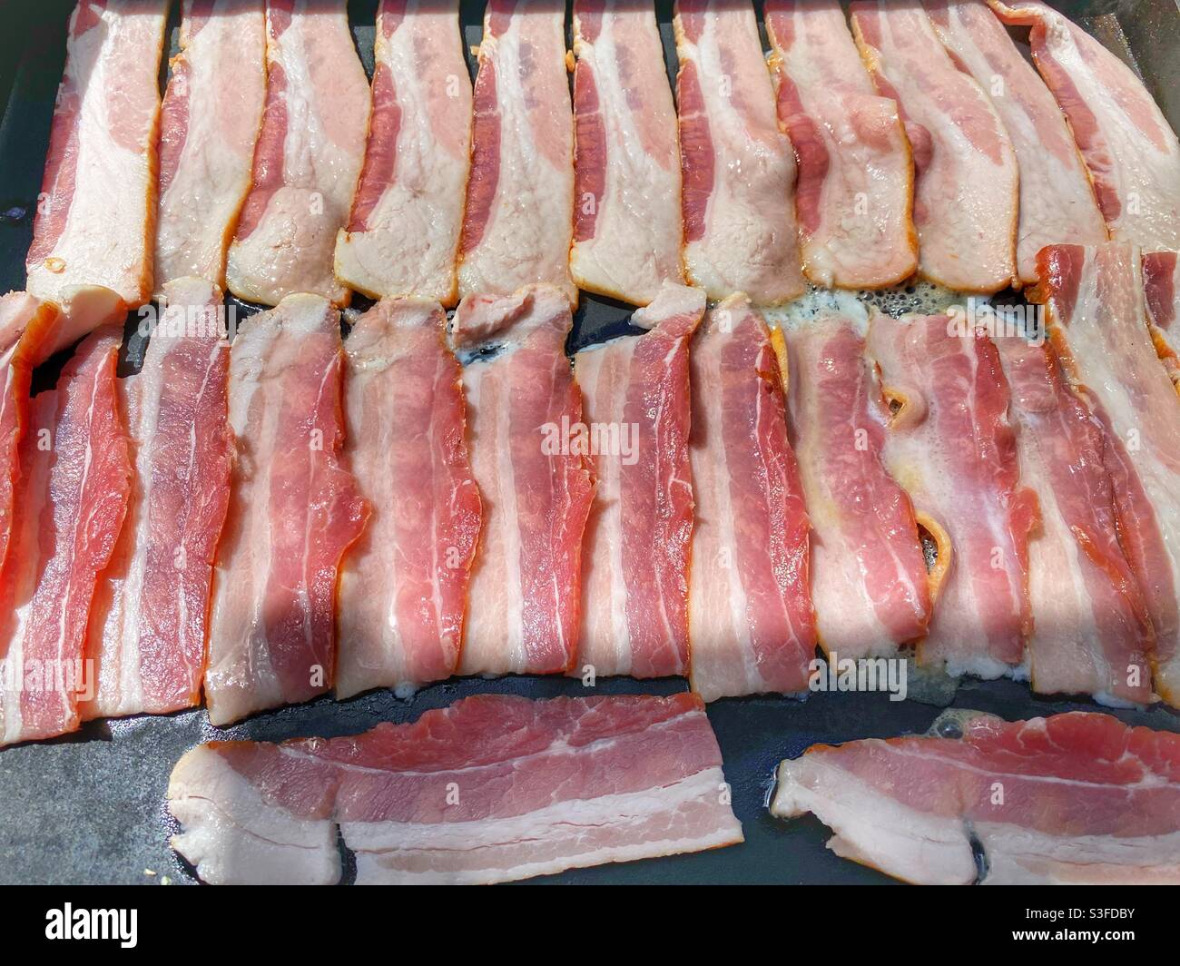 Cooking bacon on the Blackstone barbecue grill - Smartphone Captured Stock Image