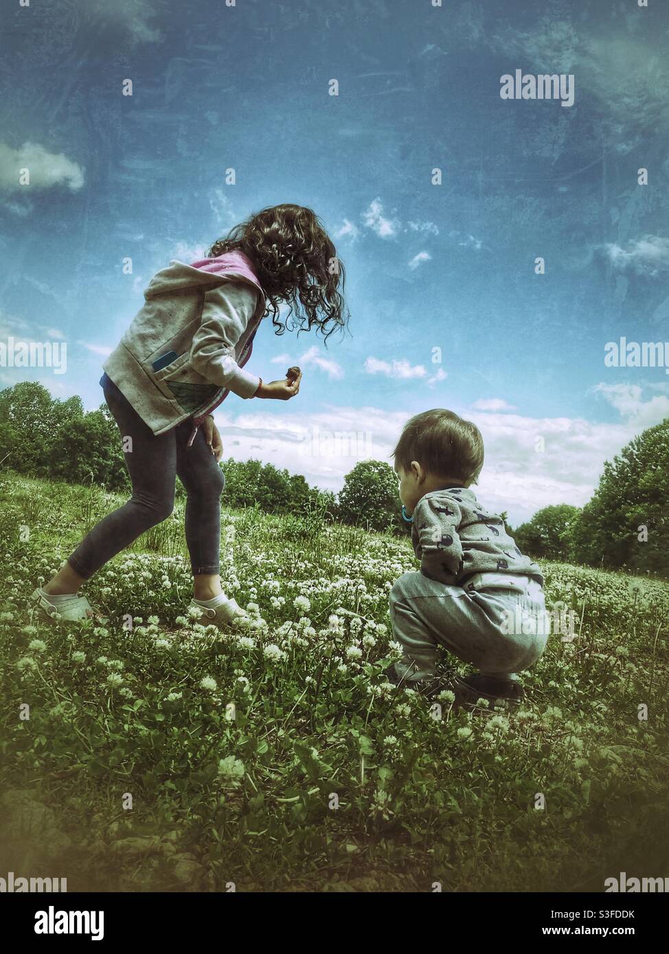Siblings play in clover field, spring - Smartphone Captured Stock Image