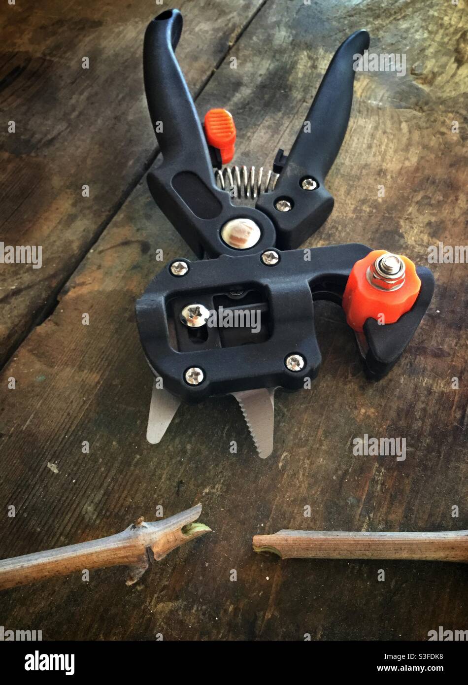 Omega grafting tool for grapevines, Catalonia, Spain. - Smartphone Captured Stock Image