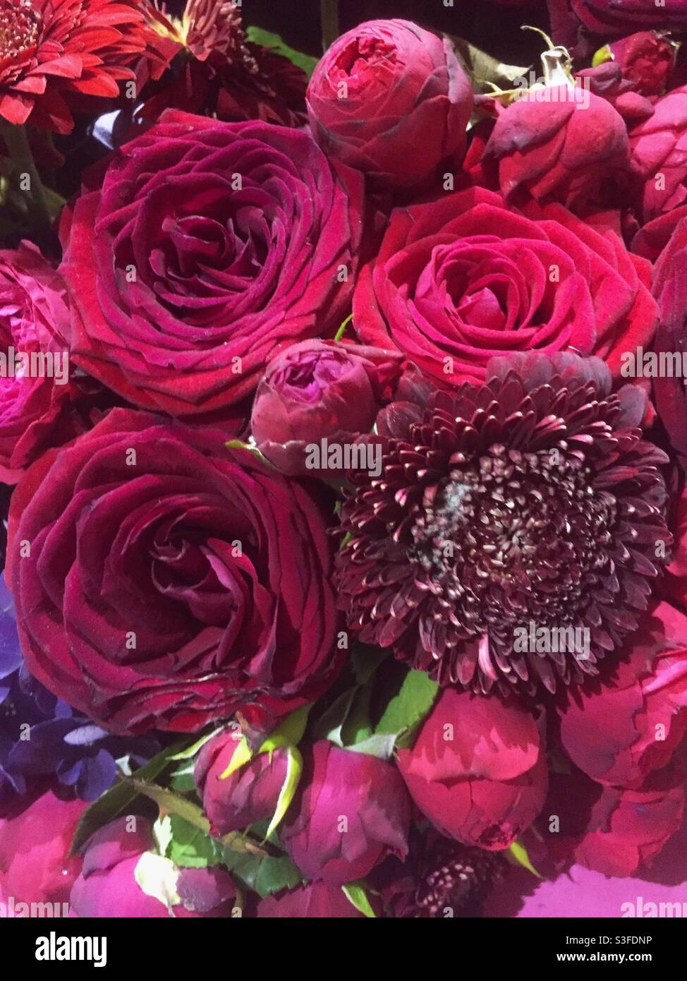 Beautiful flower bouquet with red and pink roses - Smartphone Captured Stock Image