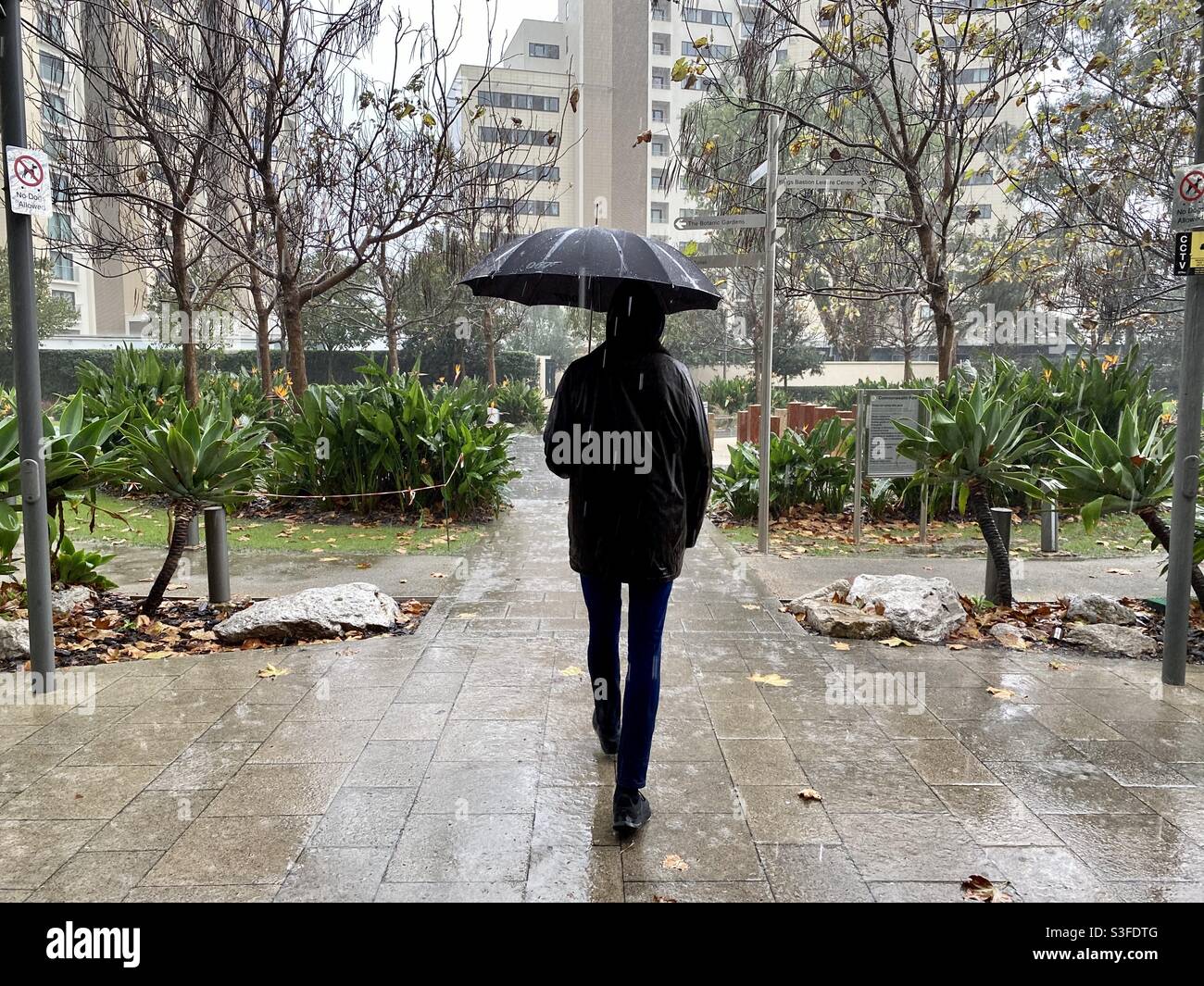 Walking through city park in torrential rain Stock Photo