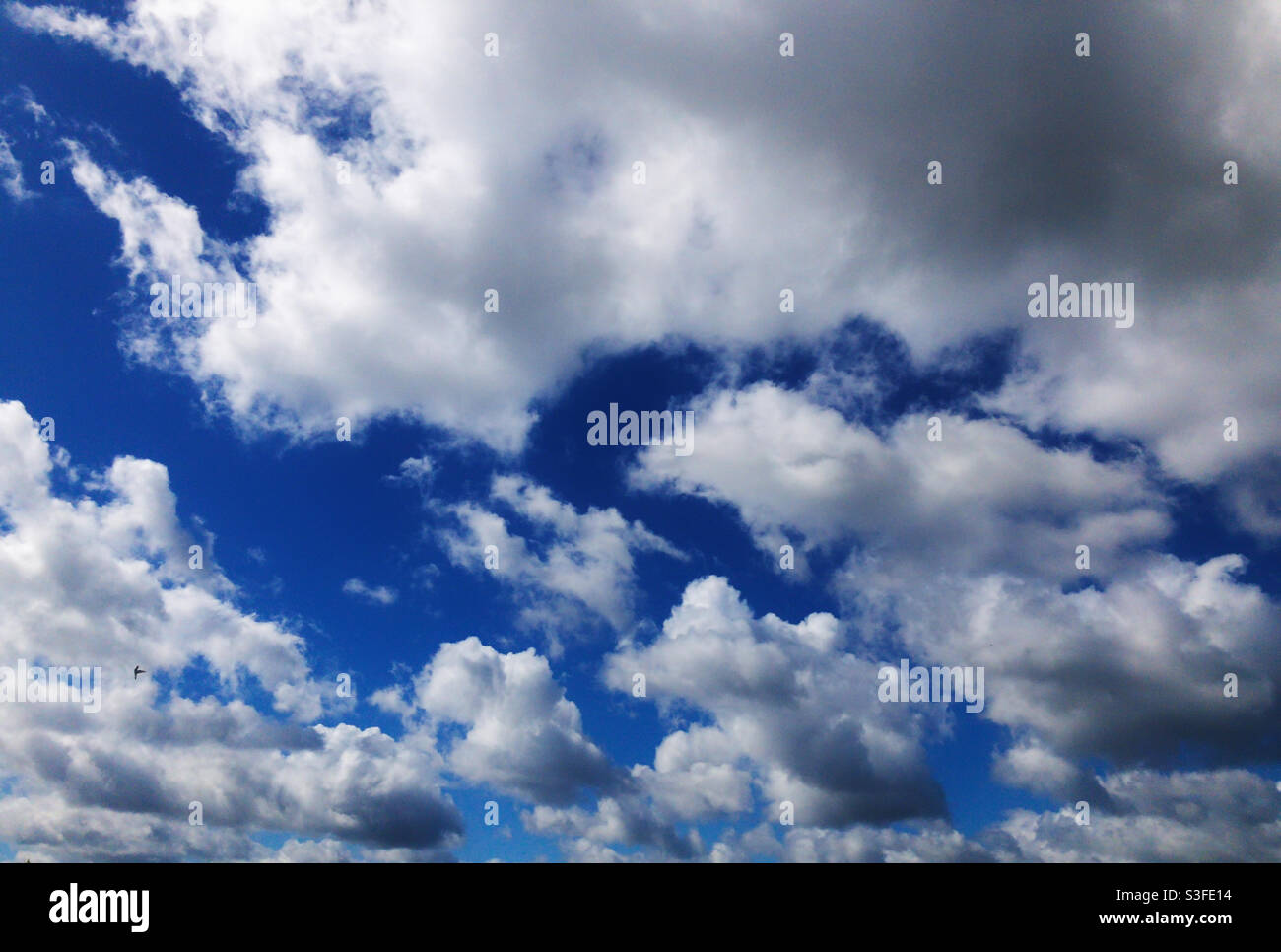 Cumulus clouds and deep blue sky Stock Photo
