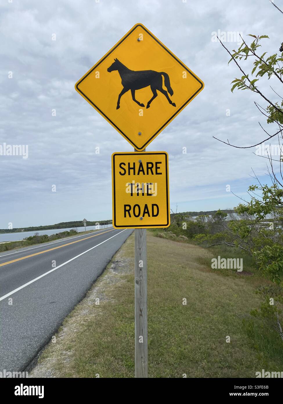 Road sign on Assateague Island warning drivers to share the road with horses. - Smartphone Captured Stock Image