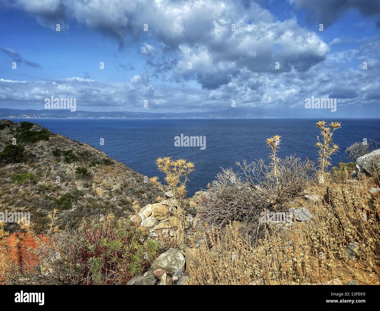 Sea view with dry plants and stones on the North of Skiathos island, Greece. - Smartphone Captured Stock Image