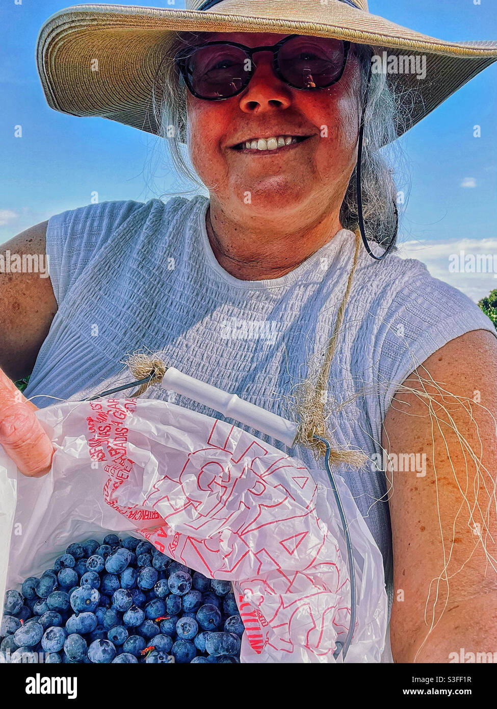 Blue Berry Picking Season in Central Florida Stock Photo Alamy