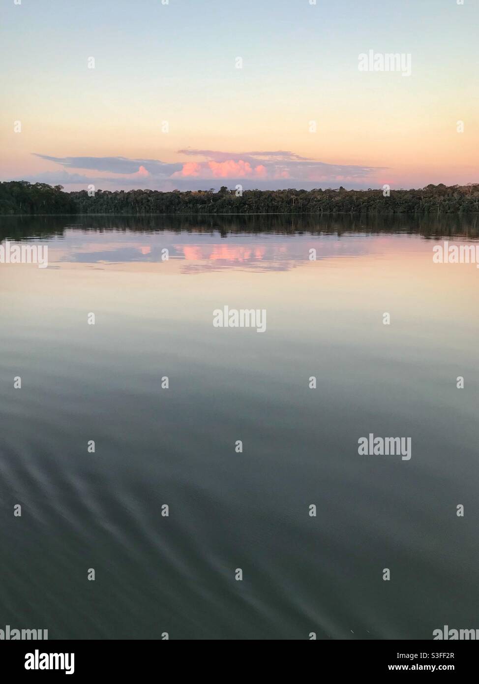 Vertical scenic sunset view of Lake Sandoval in the Peruvian Amazon - Smartphone Captured Stock Image