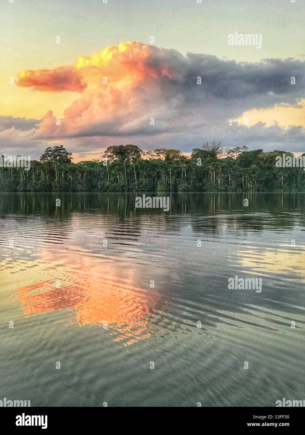 Clouds reflected in calm water at sunset, Lake Sandoval, Peruvian Amazon - Smartphone Captured Stock Image
