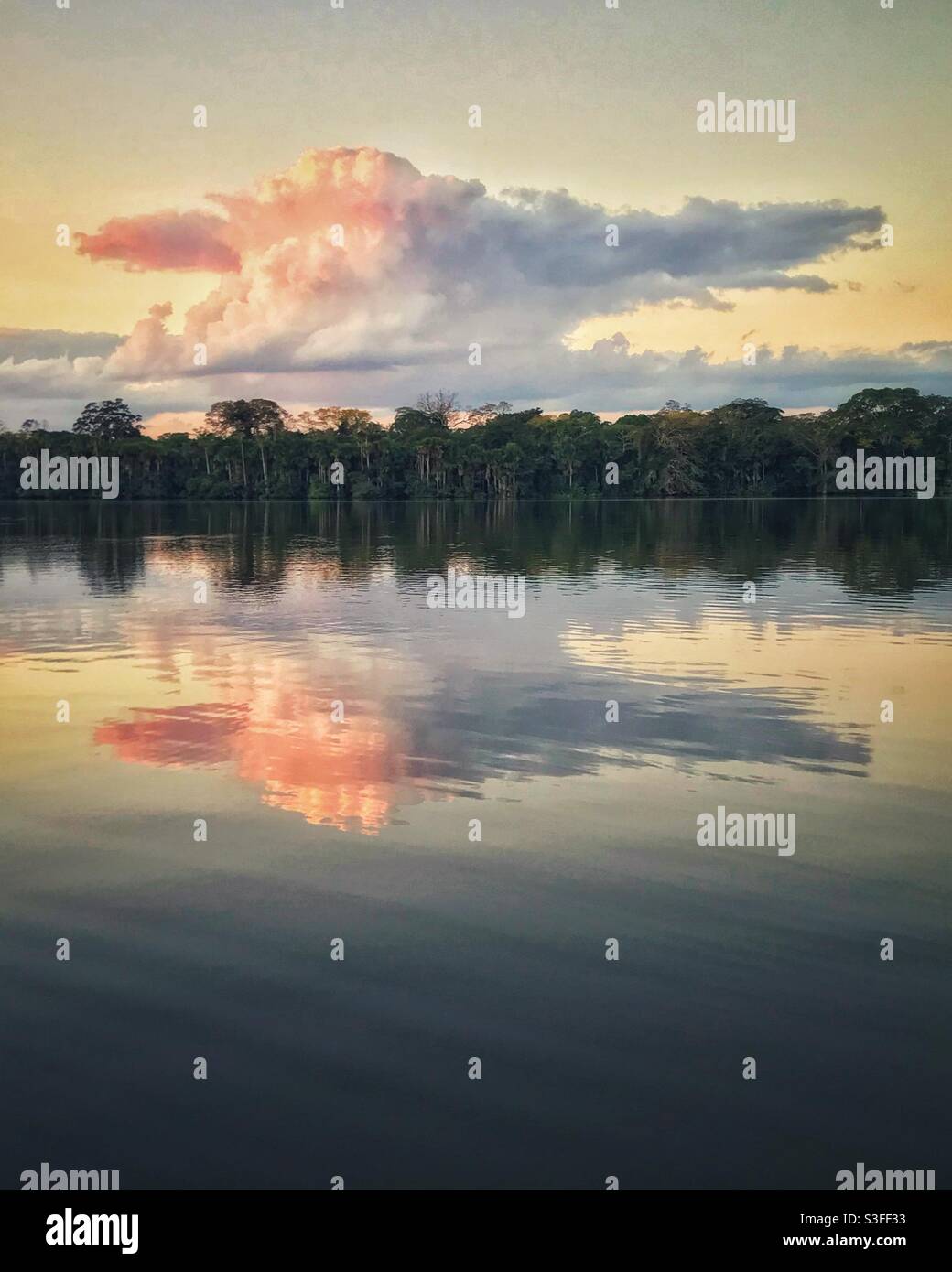 Clouds reflected in calm water at sunset, Lake Sandoval, Peruvian Amazon - Smartphone Captured Stock Image