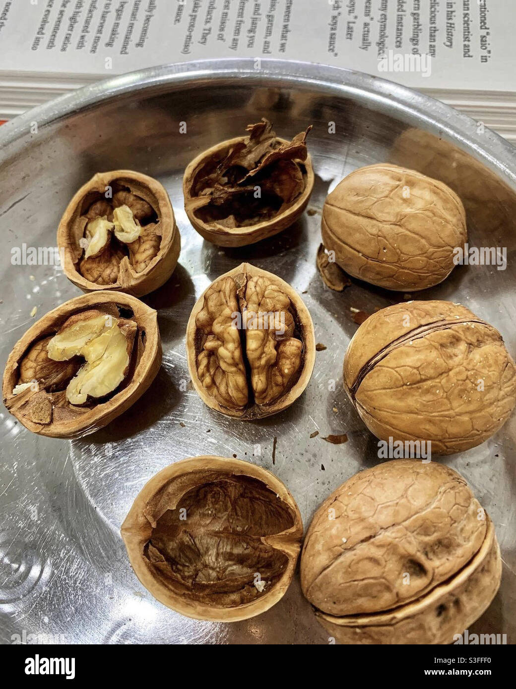 Walnut that looks like human brain Stock Photo Alamy