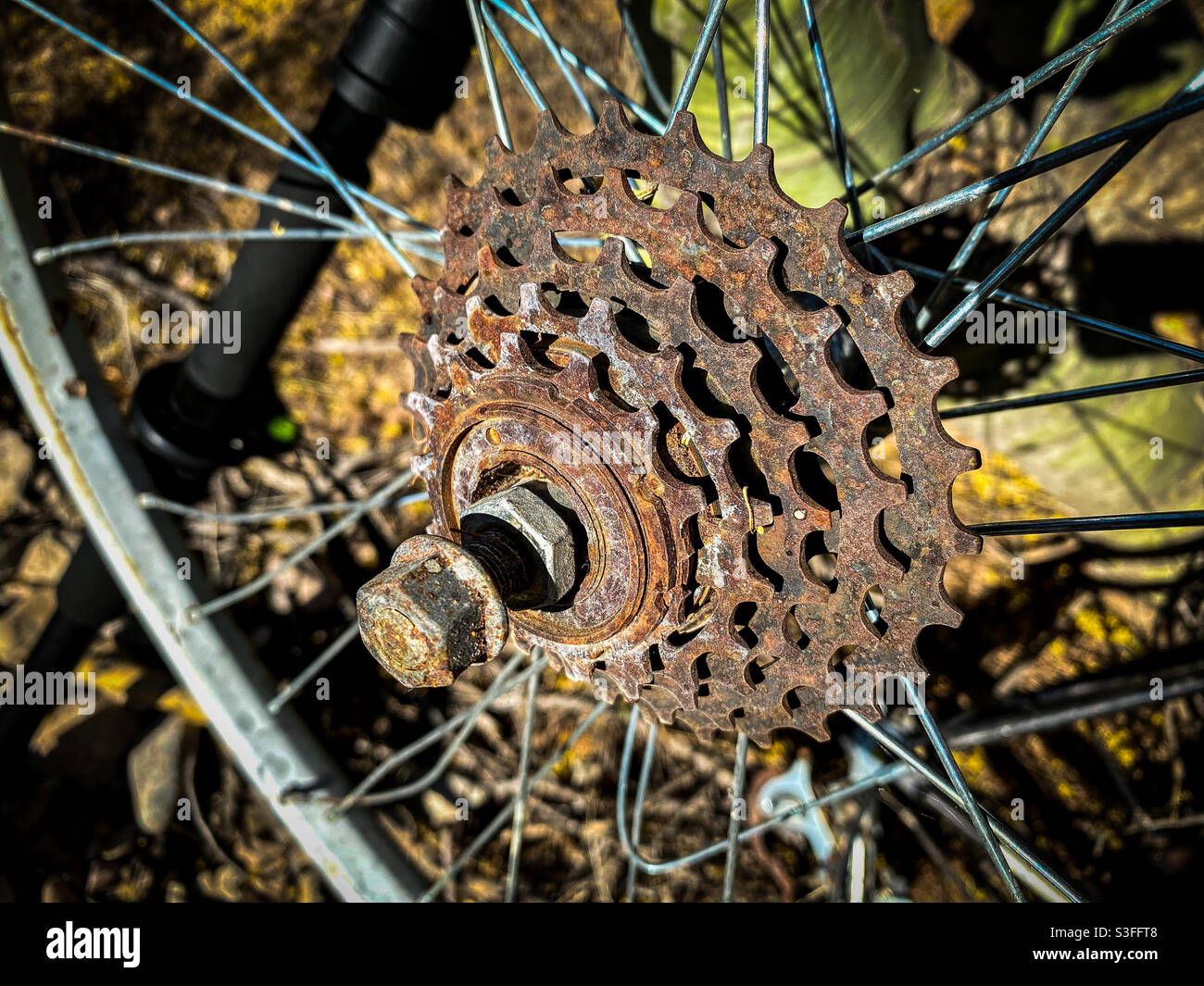 An old rear bicycle wheel with some broken spokes and rusted gear