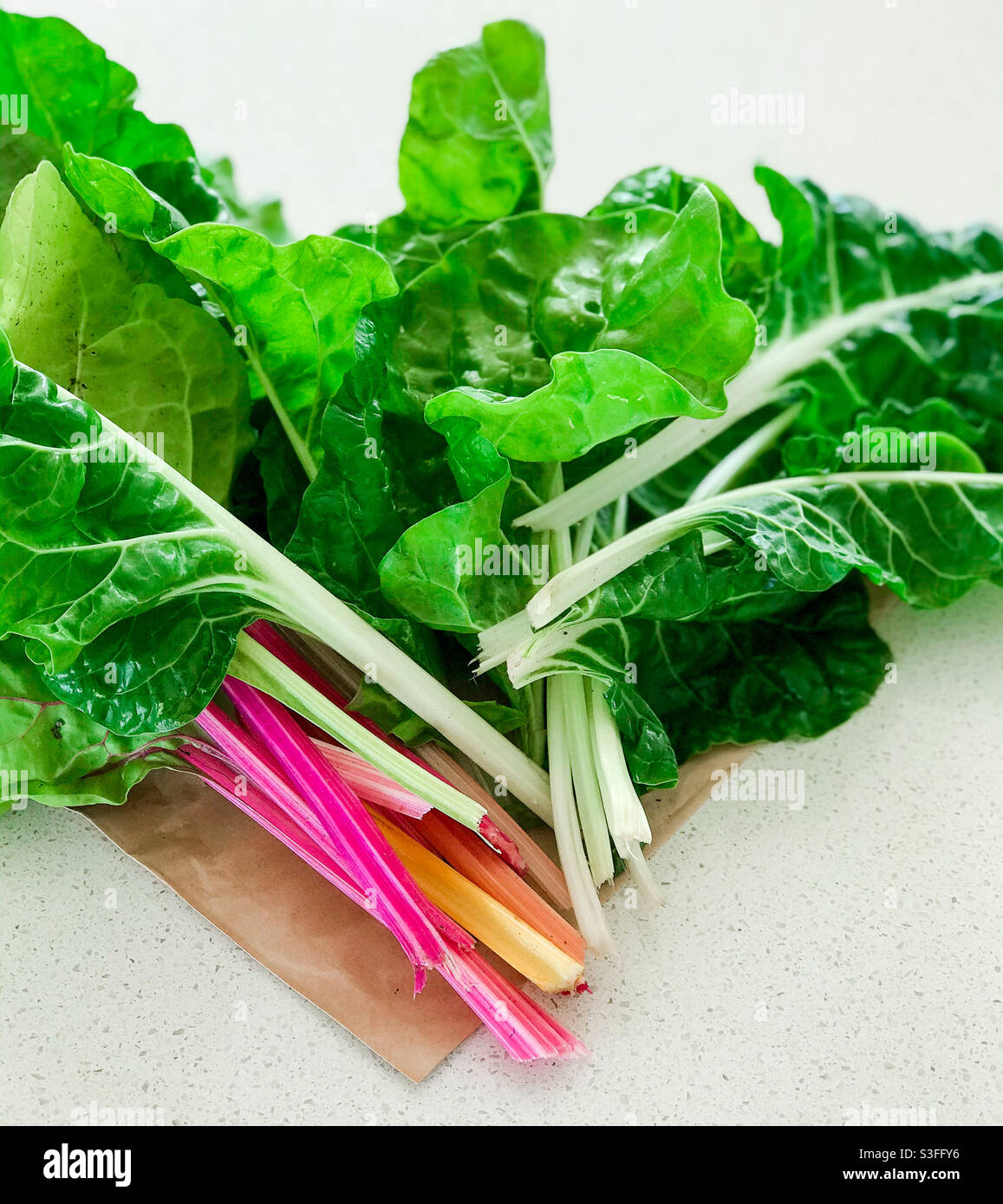 Colourful silver beet vegetables just harvested - Smartphone Captured Stock Image