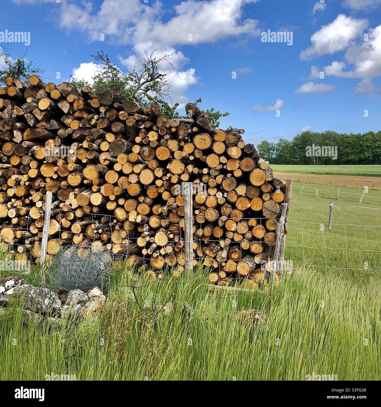 Stack of logs for domestic heating in rural France. Stock Photo