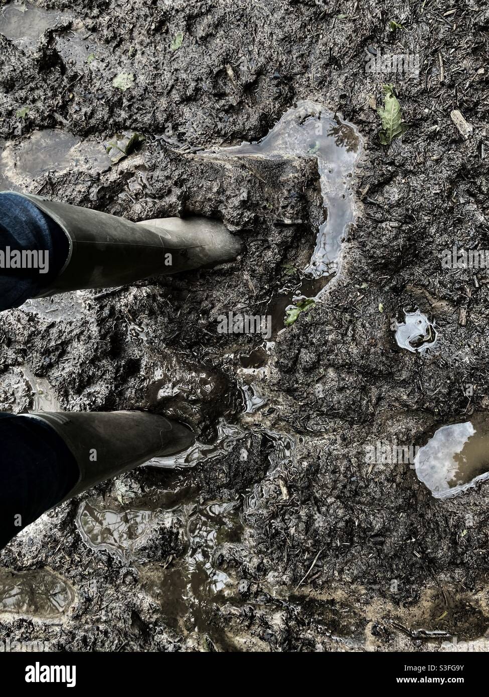 Field wellies best sale