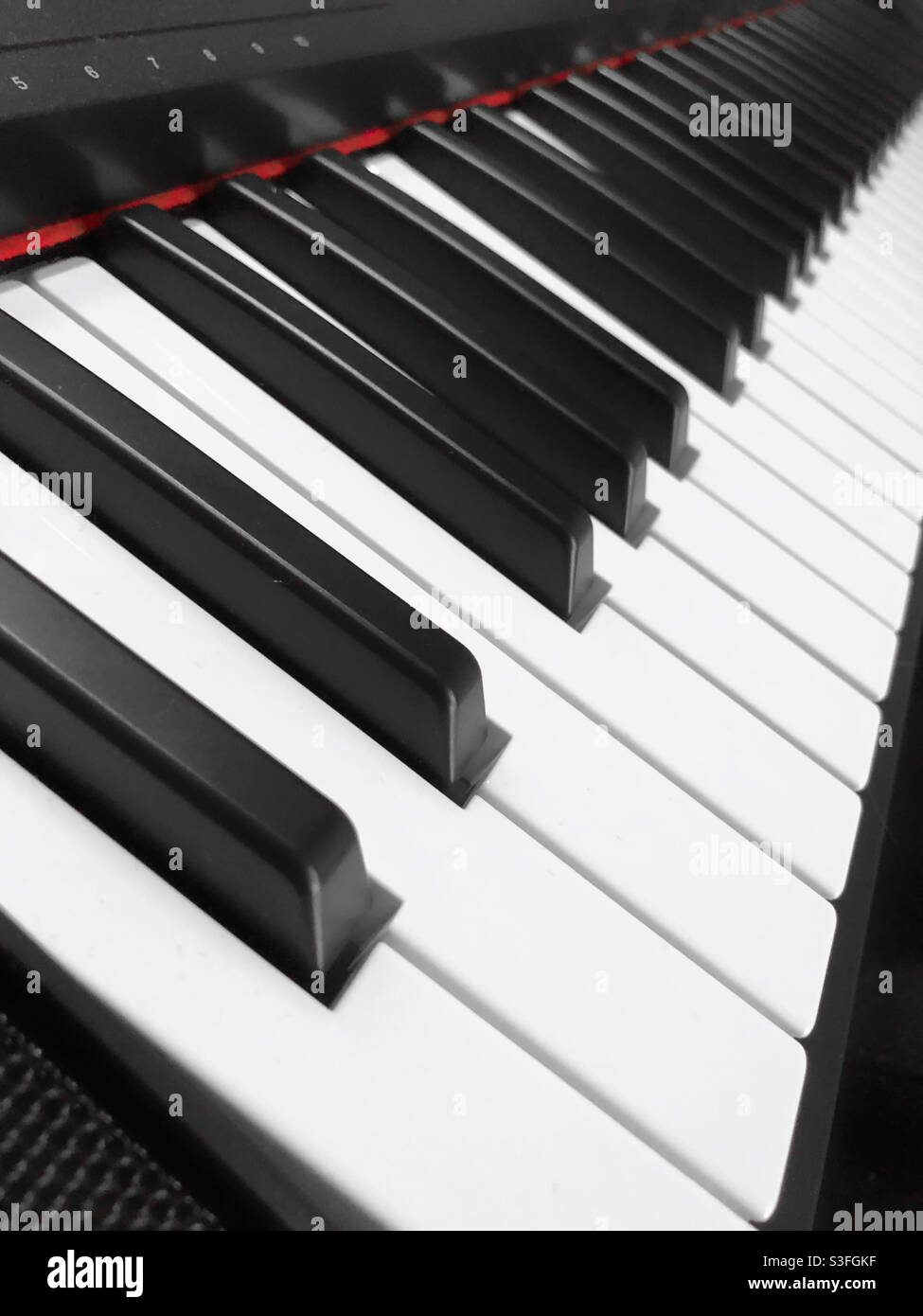 Close-up of black and white keys on Yamaha Piaggero NP-12 piano focused keyboard Stock Photo