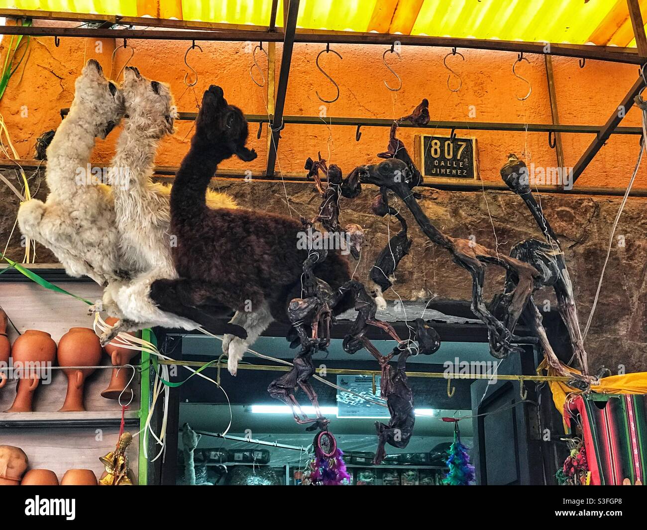 Llama fetuses in the Witches Market in La Paz, Bolivia Stock Photo
