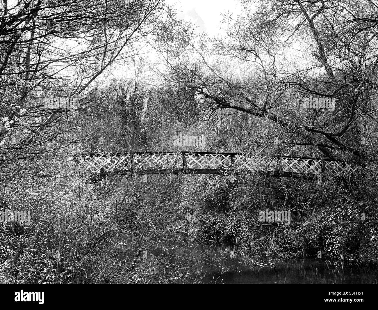 Park iron bridge across the River Eye Melton Mowbray, uk - Smartphone Captured Stock Image
