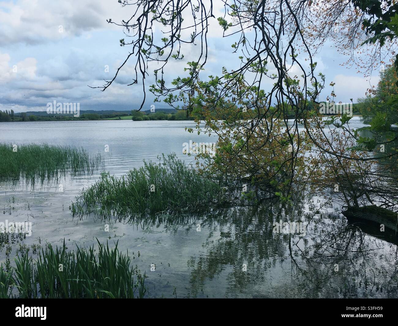 Wilstone Reservoir, one of the Tring Reservoirs, in Hertfordshire